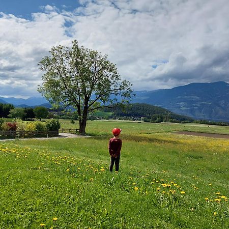 Krebslechnerhof Villa บรูนิโก ภายนอก รูปภาพ