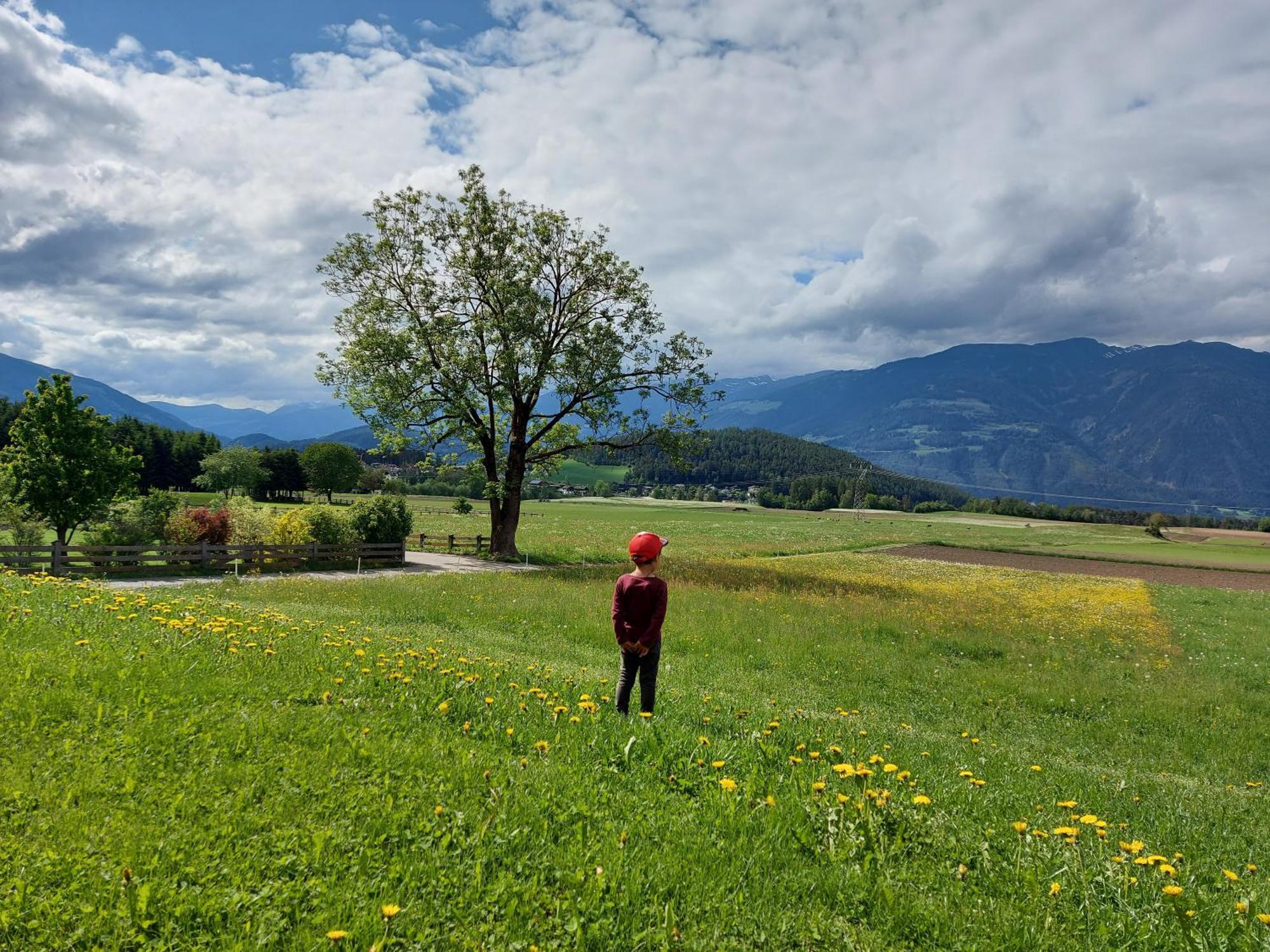 Krebslechnerhof Villa บรูนิโก ภายนอก รูปภาพ